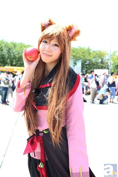 2017年8月上旬猪肉价格、旬比、环比、同比:雨燕直播团队(图2) 雨燕直播